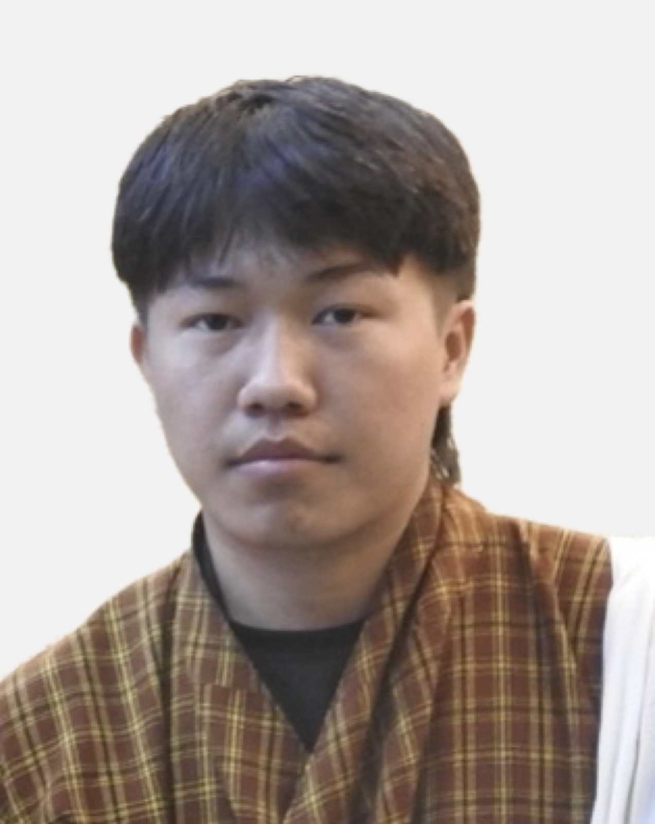 namkha tashi yoezer( multi media)